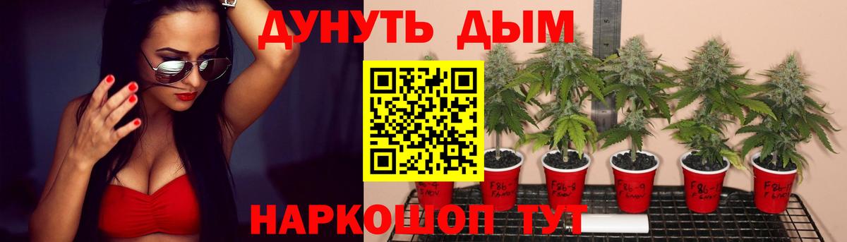 Бошки марихуана марихуана Ликино-Дулёво